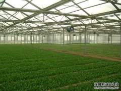 便攜式農(nóng)業(yè)環(huán)境監(jiān)測儀訂制