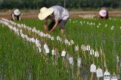 農(nóng)業(yè)氣象記錄儀要素